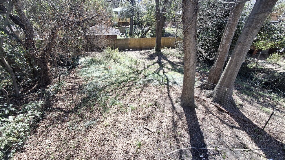 back yard - 607 Guilford Ave