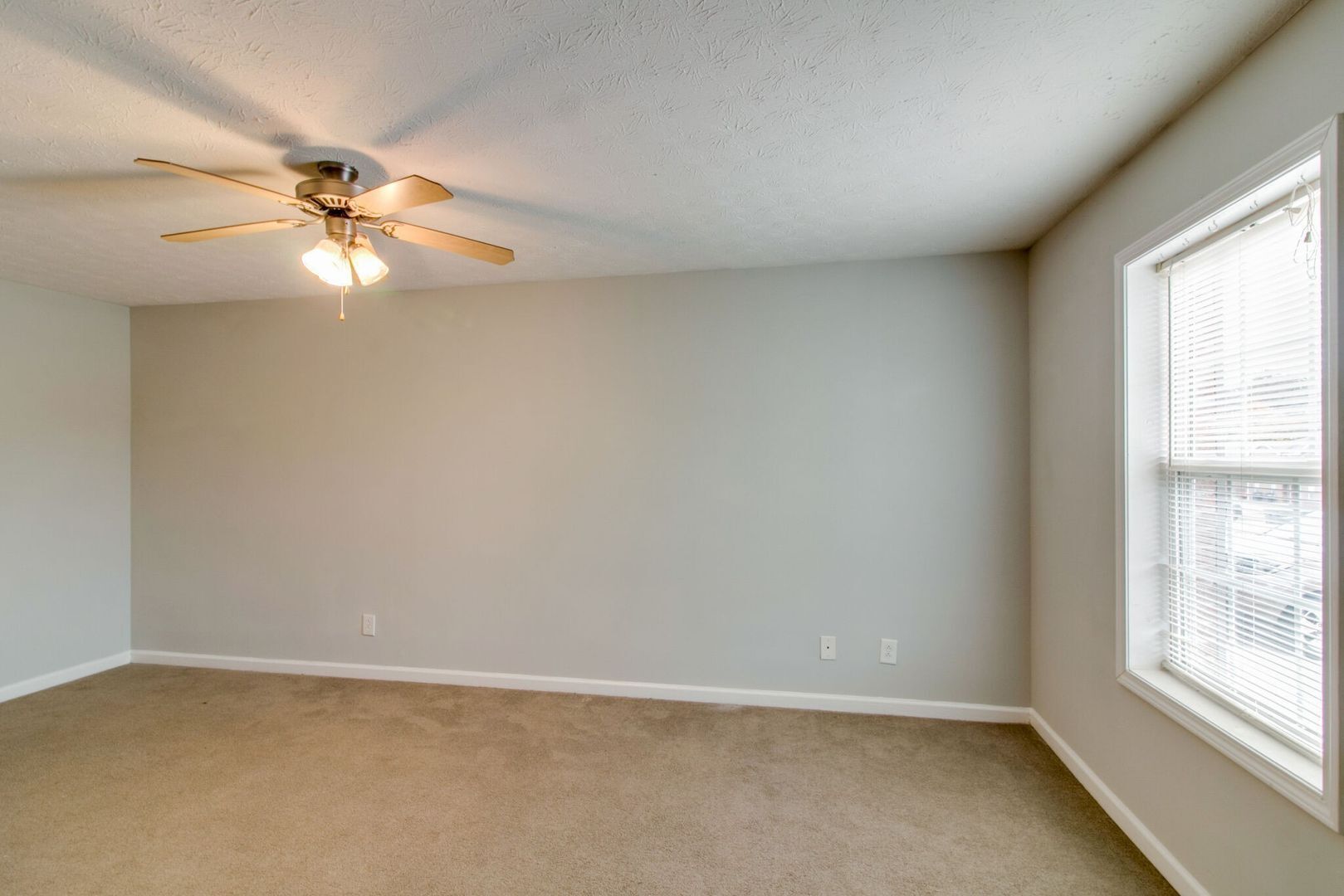 Building Photo - 809 Oak Arbor Ct