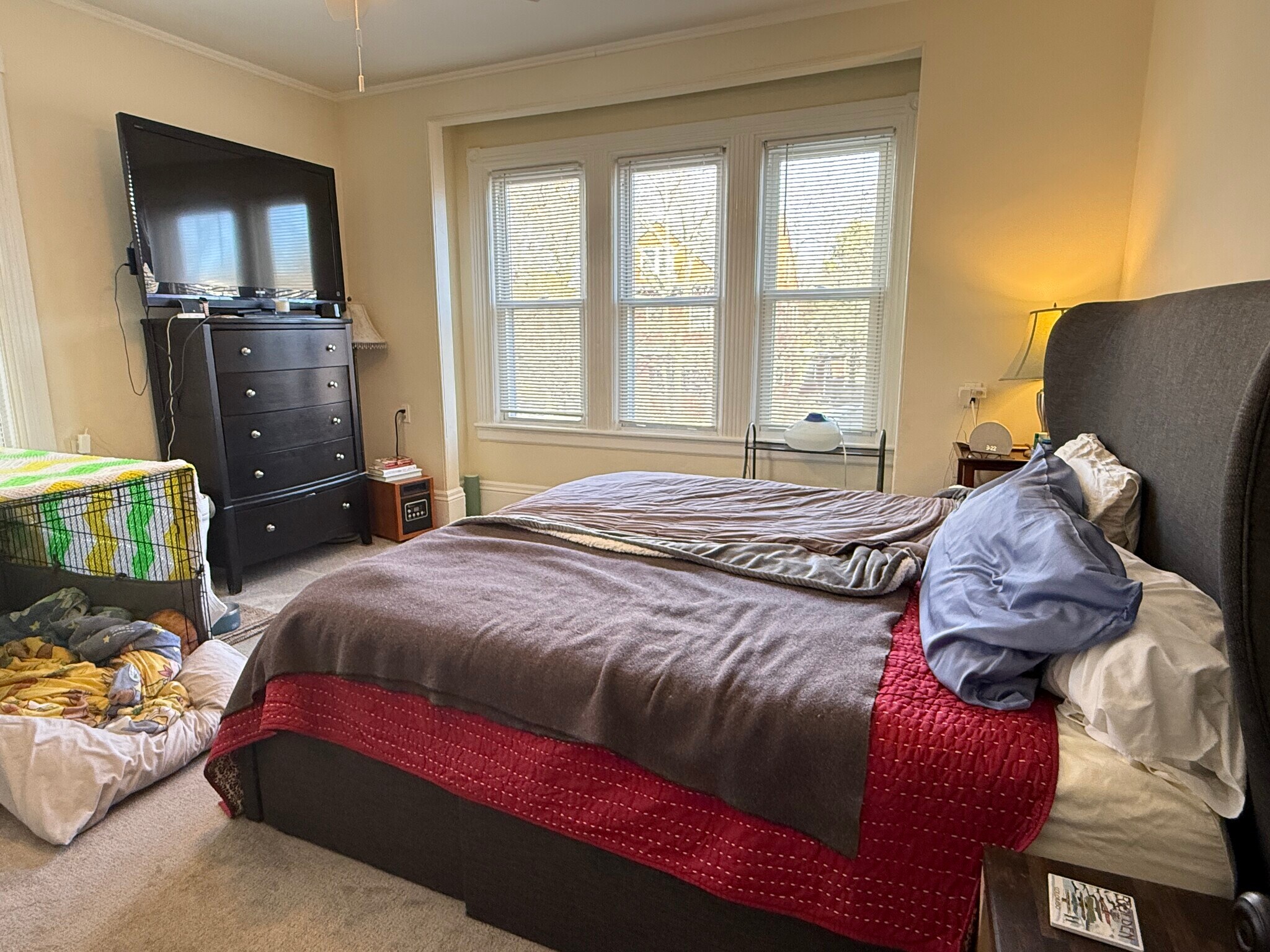 Building Photo - 162 Babcock St