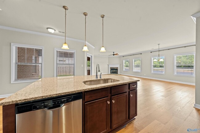 Building Photo - 3013 Mallard Point Dr SE