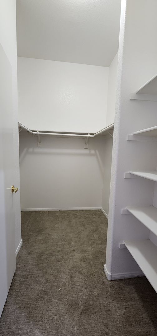 Building Photo - HAVE YOU SEEN THIS???