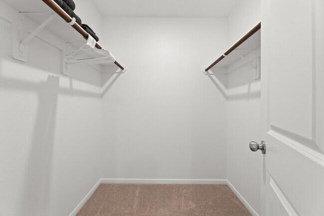 Building Photo - 16424 Big Hickory Dr