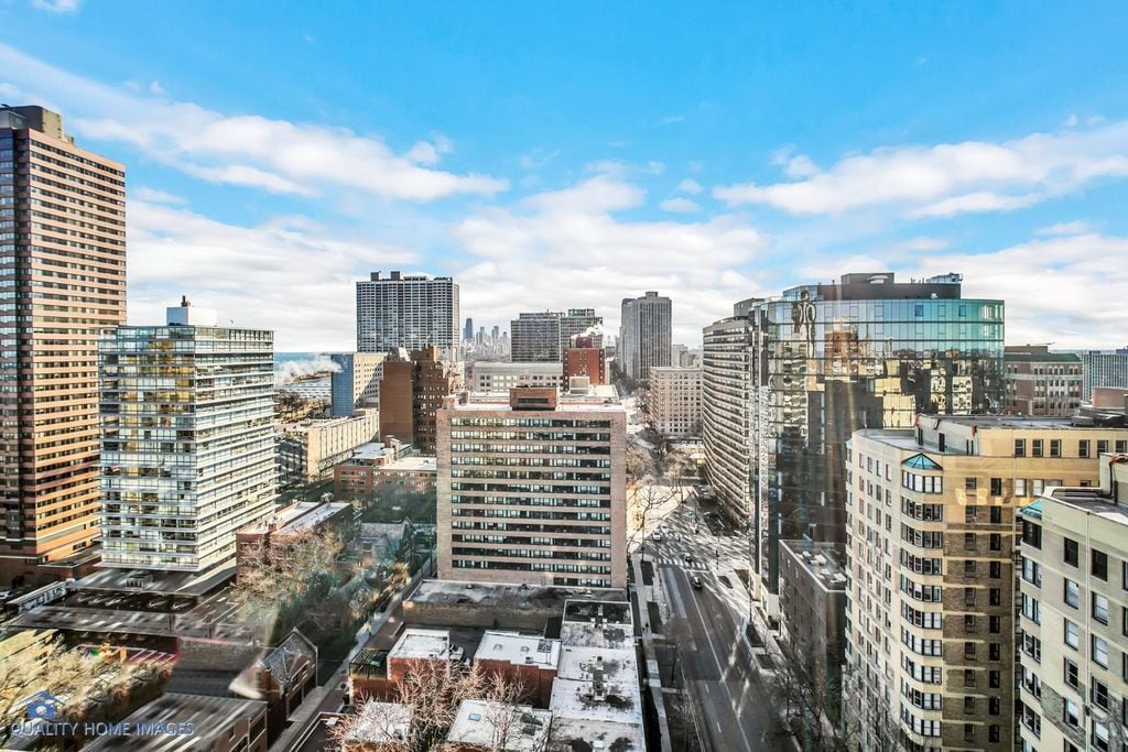 Rooftop View - 360 W Wellington Ave