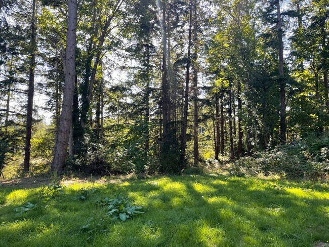 Building Photo - Newer Double Bluff Home In The Woods!