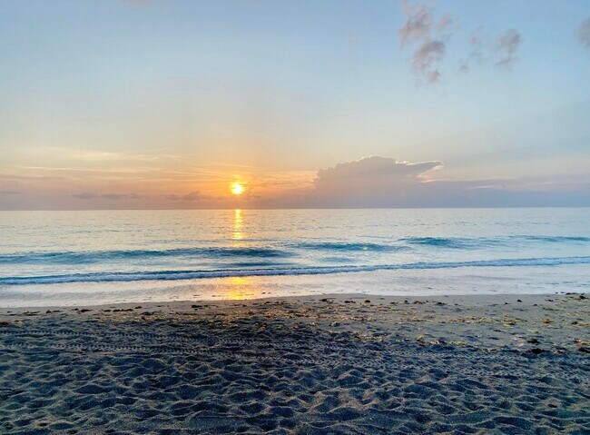 Building Photo - 206 Osprey Preserve Blvd