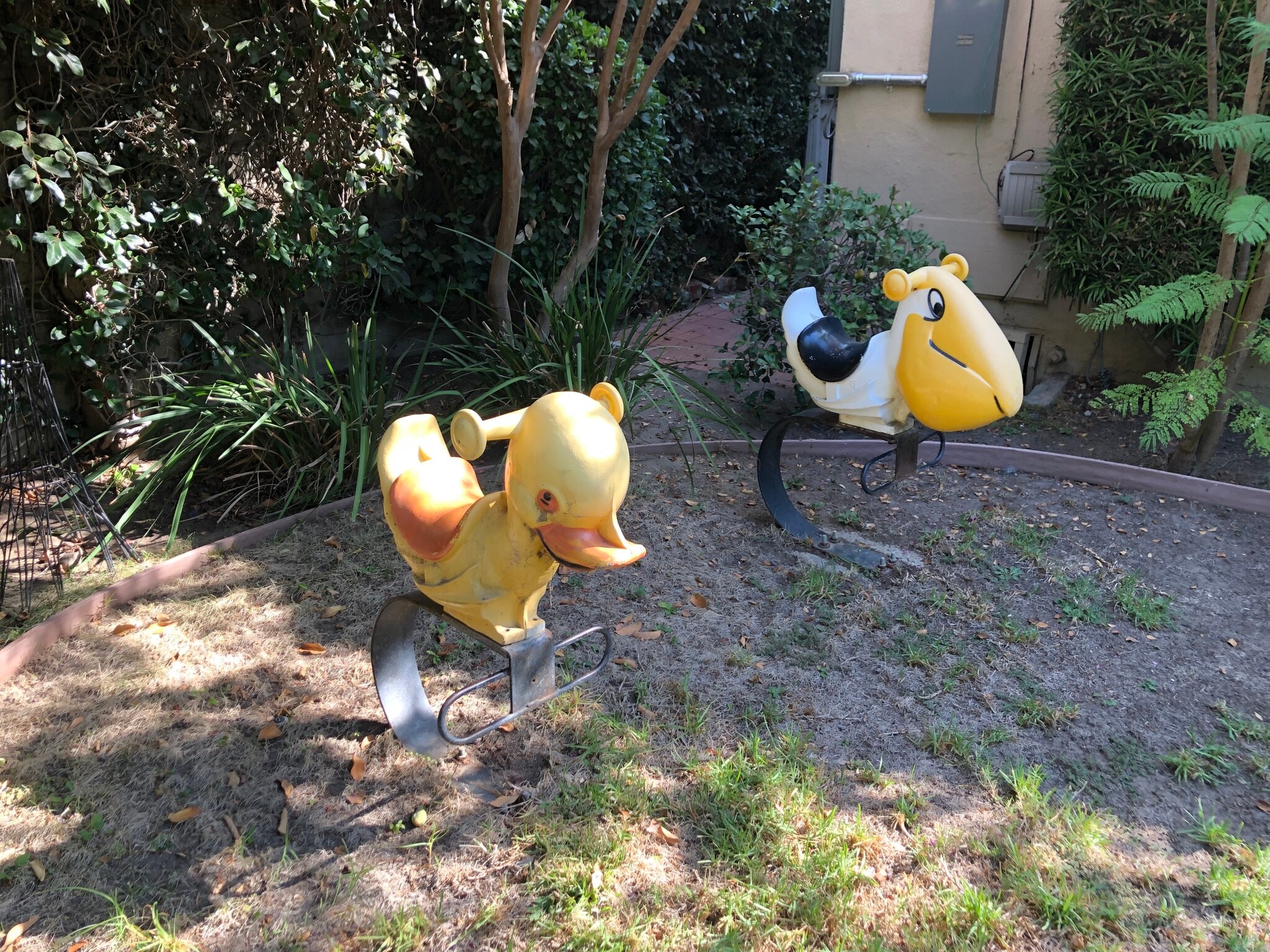 Backyard - 5507 Noble Ave