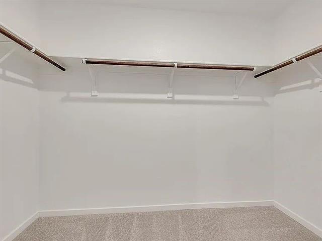 Building Photo - 1409 Merlin Blf St
