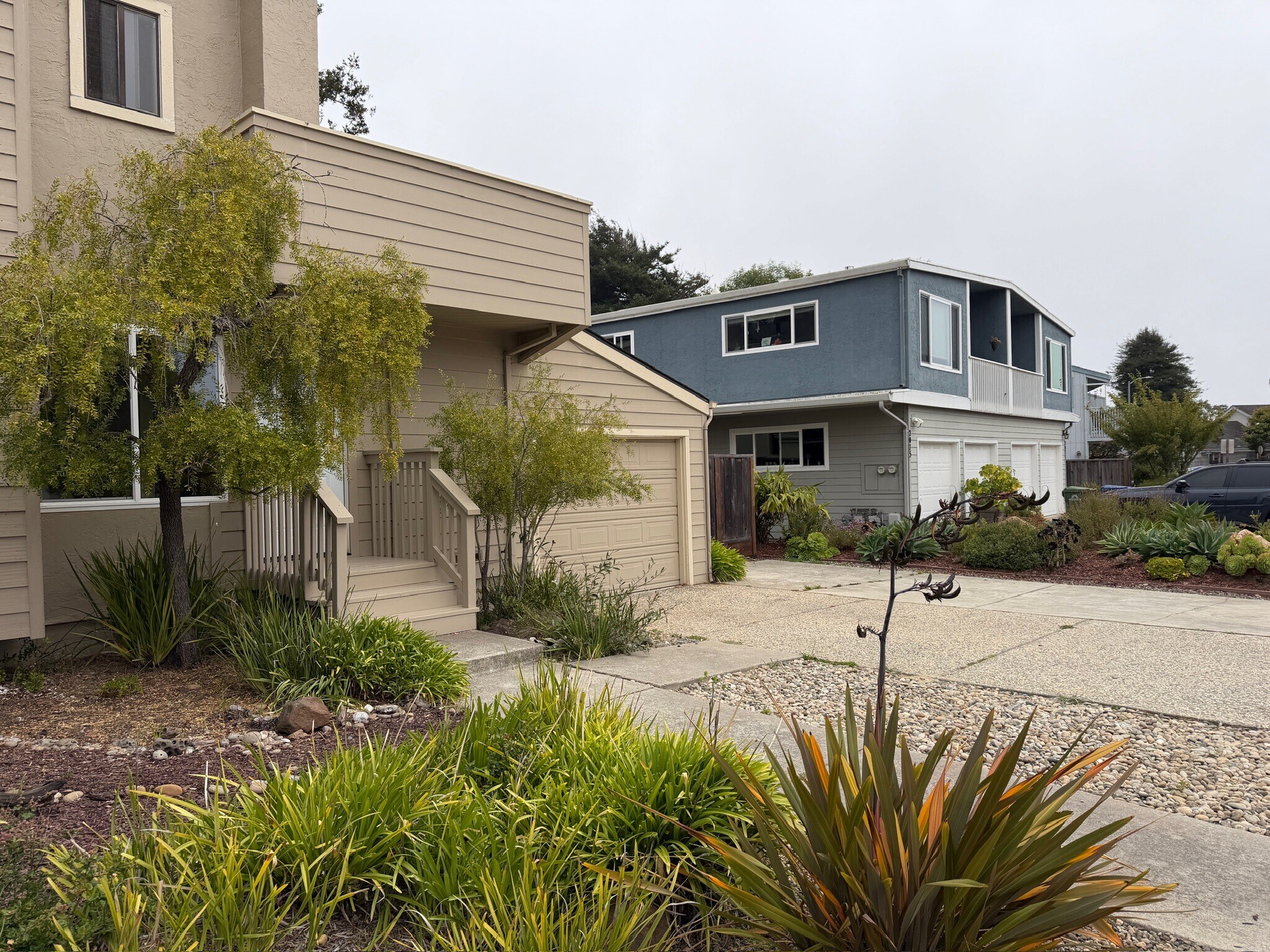 Building Photo - 2069 Dolphin Dr