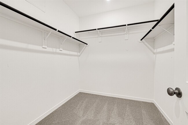 Building Photo - 3911 Windy Whisper Dr