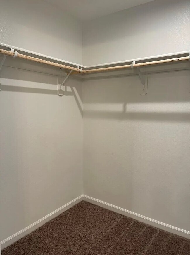 Building Photo - 161 Trevor St