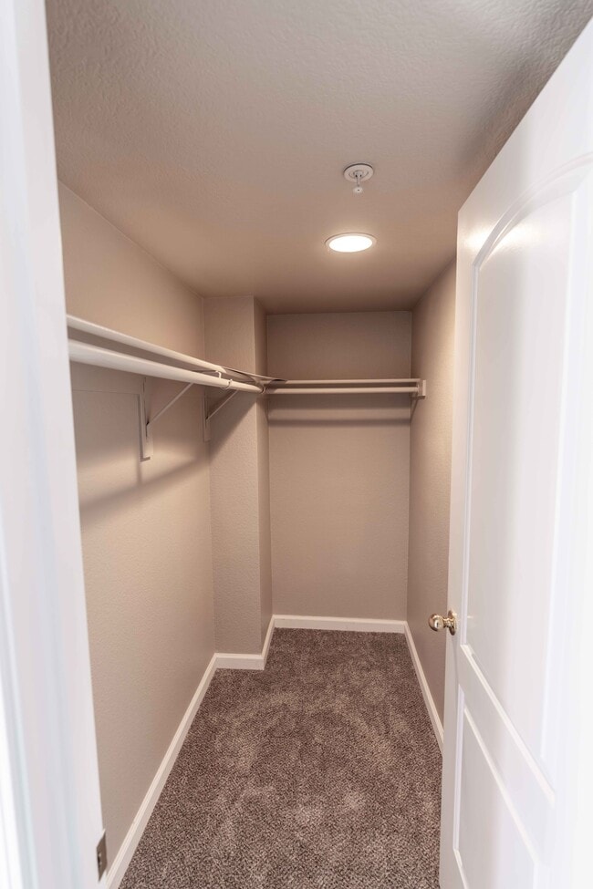 Walk in closet - 3739 Black Eagle Dr