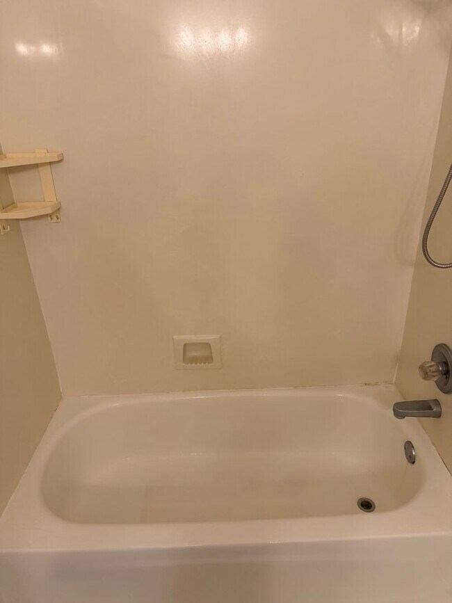 Building Photo - 3 BR/2BA | Newly Renovated Single Family Home |Attached garage  | Fenced  backyard | In Cordova!