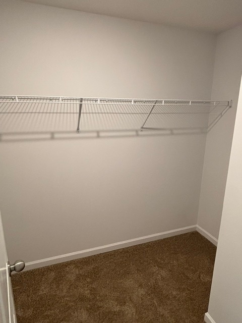 Building Photo - 3243 Truitt Path Ln