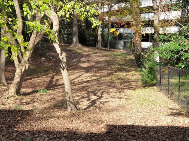 Building Photo - Calling all dog lovers! 1 Bedroom Condo in...