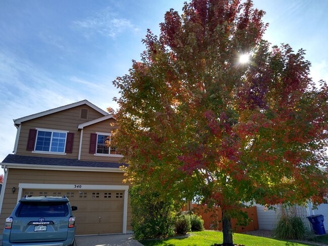 Building Photo - Gorgeous 2 Story 3 Bedroom 2.5 Baths in Dacono For Rent