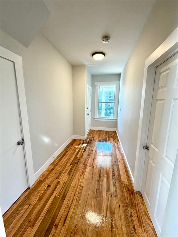 Building Photo - 11 Francis St