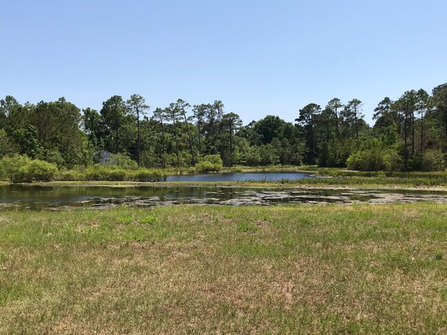 Building Photo - 4458 Maritime Oak Dr