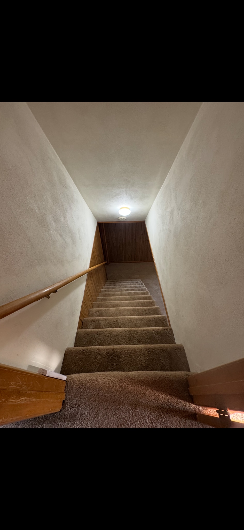 Building Photo - 203 Riverview Dr