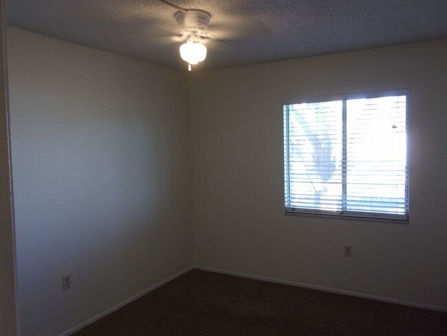 Building Photo - 256 Cypress Lane