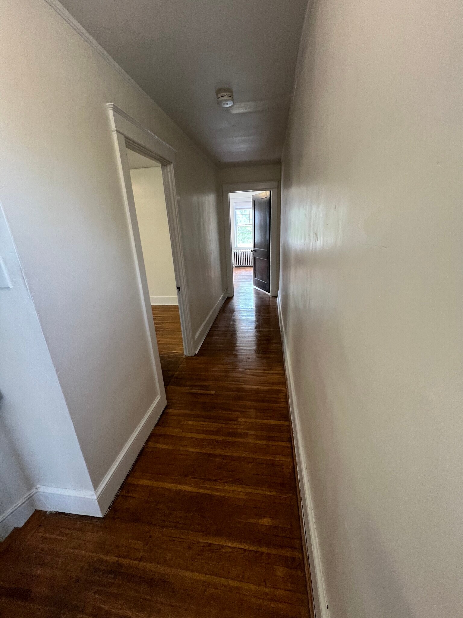 Hallway - 81 S Pearl St