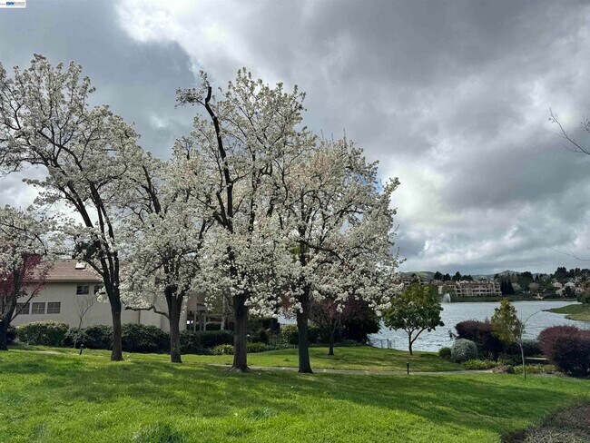 Building Photo - 3089 Lakemont Dr