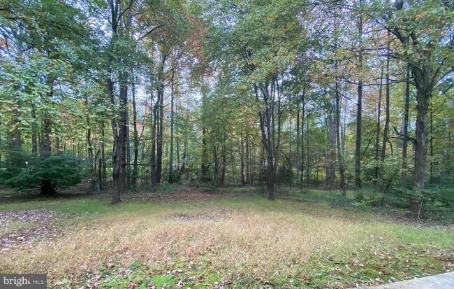 Building Photo - 1631 Bennington Hollow Ln