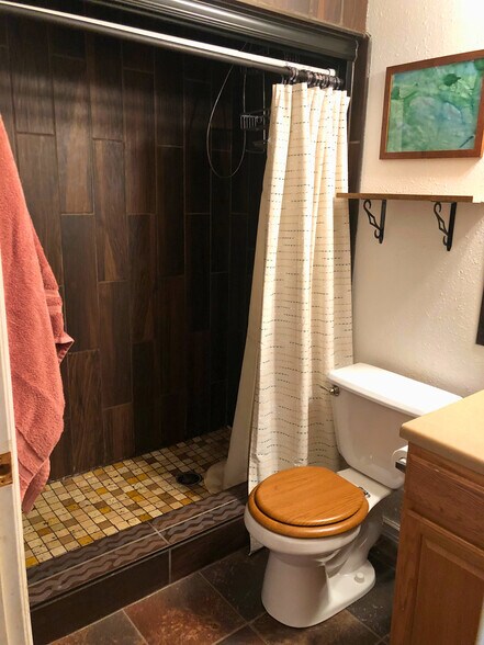 Main bathroom - 1220 Alpine Pl