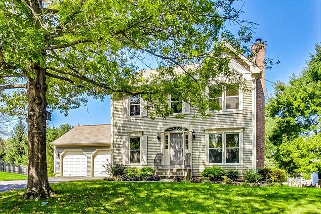 Building Photo - Cool on Cool Spring! Large SF 4 Bed + 2.5 BA