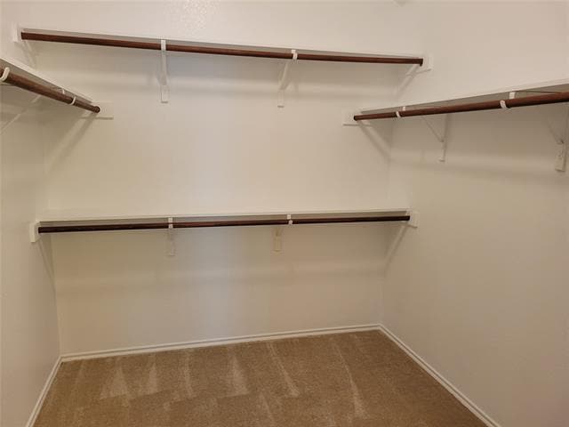 Building Photo - 529 Partridge Dr