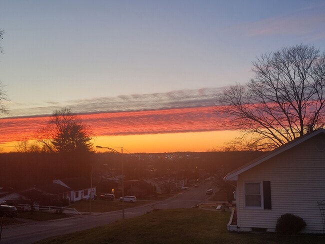 West Side View from Sunroom - 3029 W Franklin St