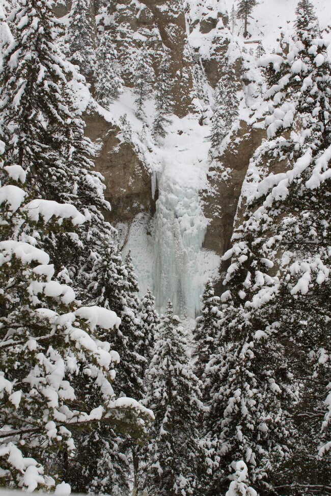 Building Photo - 3627 Bills Loop Rd