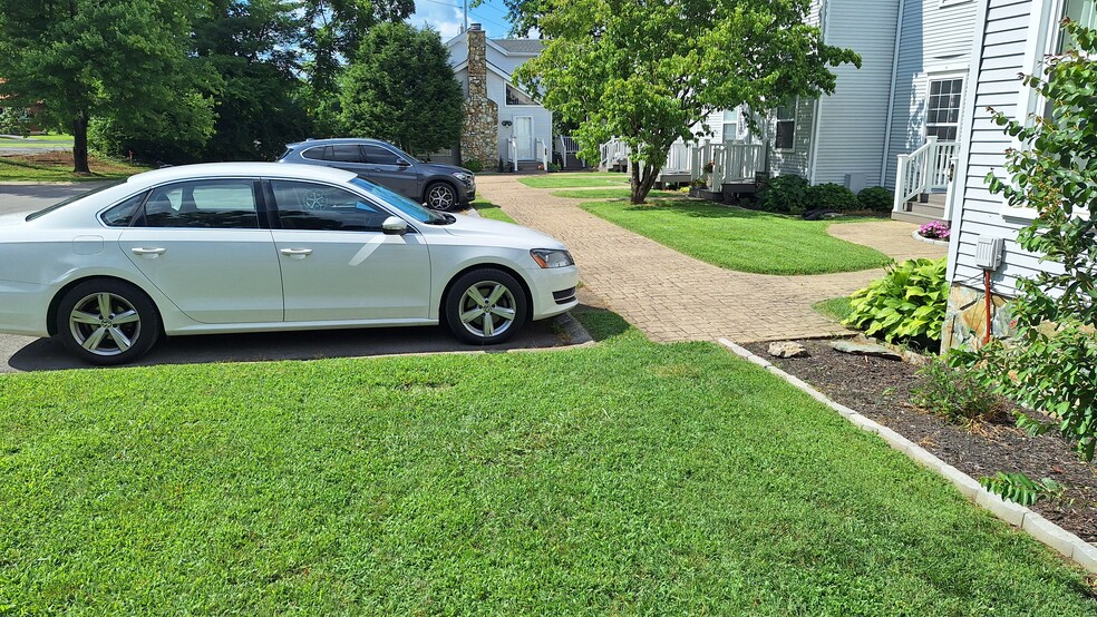 Parking lot and condo entrance (by the tree) - 217 Walton Ferry Rd