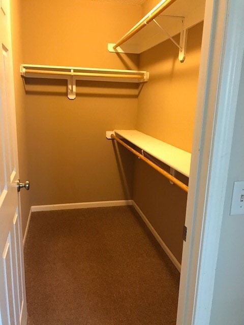closet - 837 Whitetail Ct