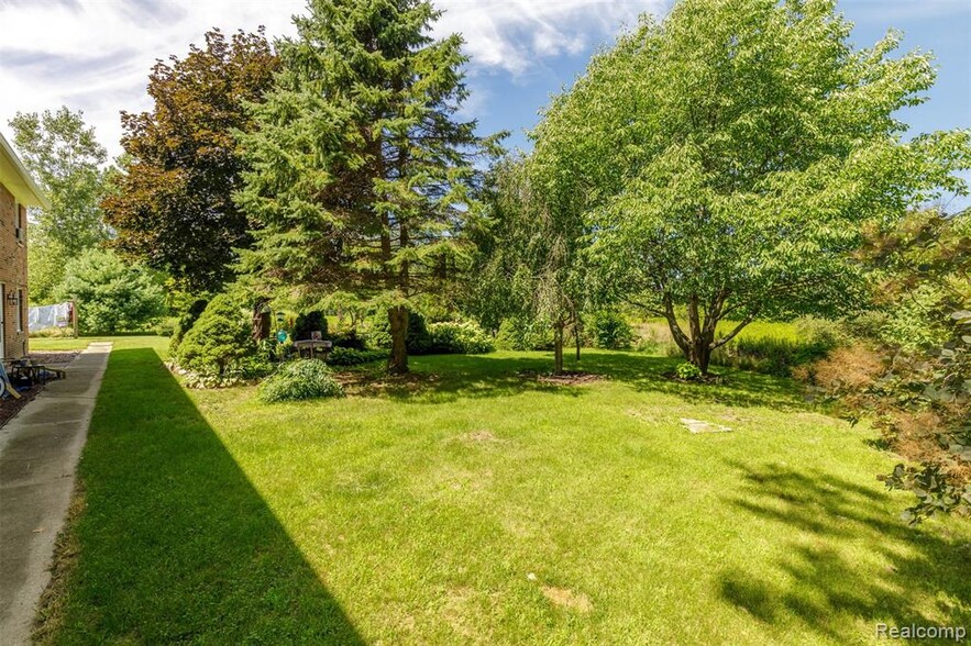 Beautiful Trees and scenery - 3373 Van Dyke Rd