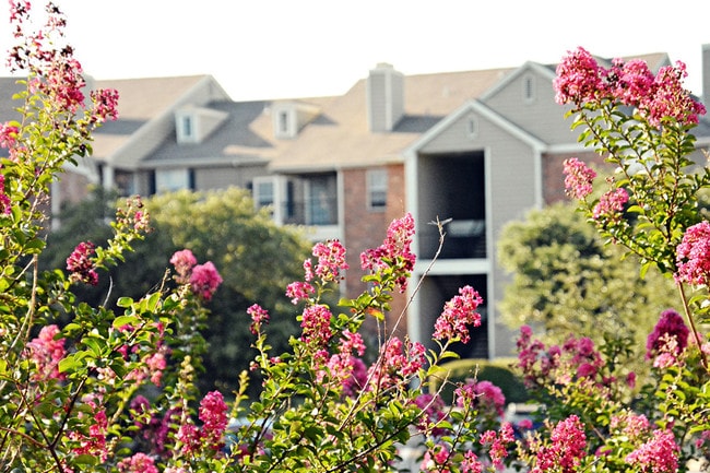 Beautiful Landscaping - MacArthur Ridge Apartments