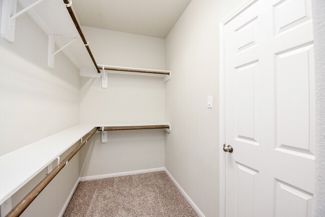Building Photo - 23602 Acerola Tree Ct