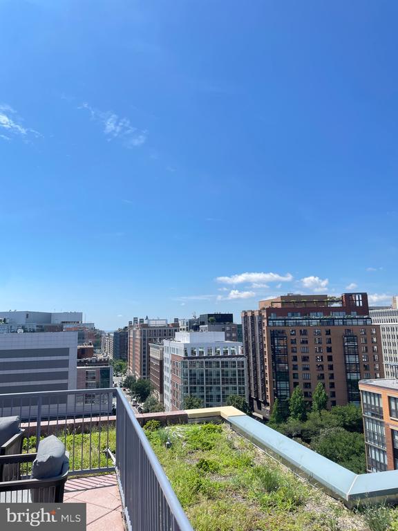 Building Photo - 1117 10th St NW