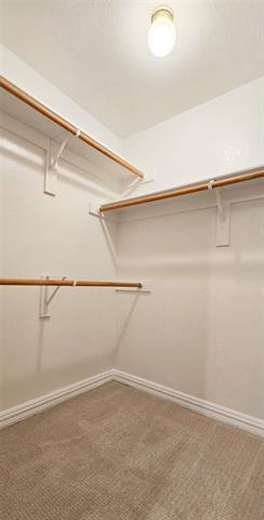 Building Photo - 4108 Mitchell Ct