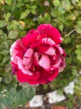 Building Photo - 841 Marie Park Dr NE