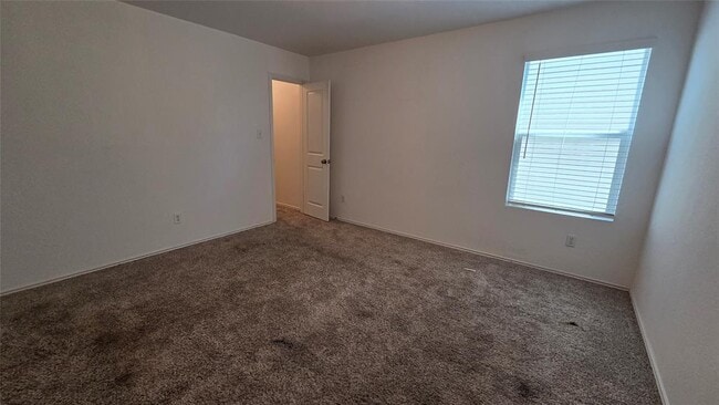 Building Photo - 249 Red Buckeye Loop