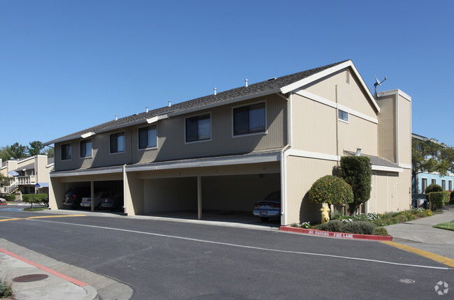 Building Photo - Meadows Apartments