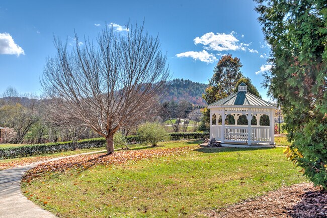 Community Gazebo and Firepit - 265 Lewis Creek Dr