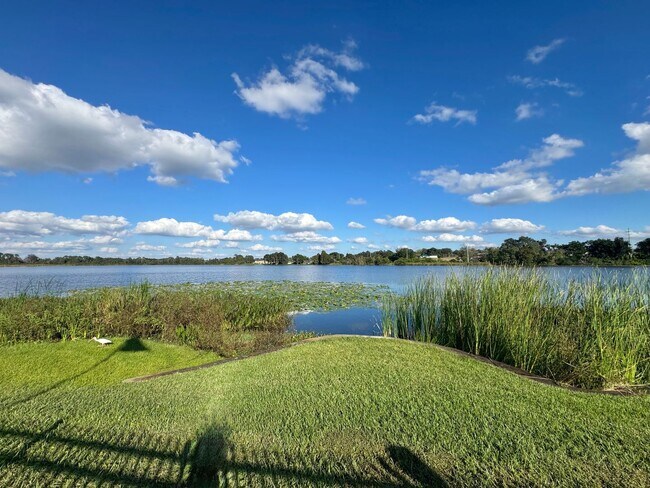 Building Photo - Lake Buckeye Condo