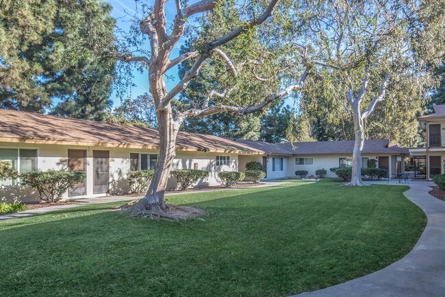 Building Photo - Mt. Vernon Apartments