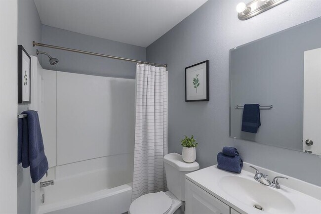 Building Photo - 3118 Lucida Ln