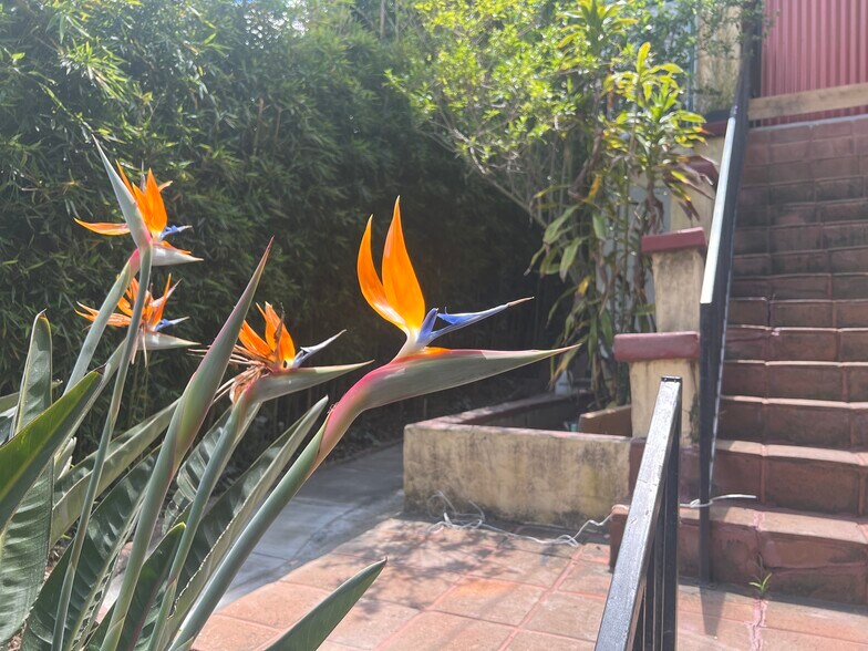 Building Photo - 340 Mt Washington Dr