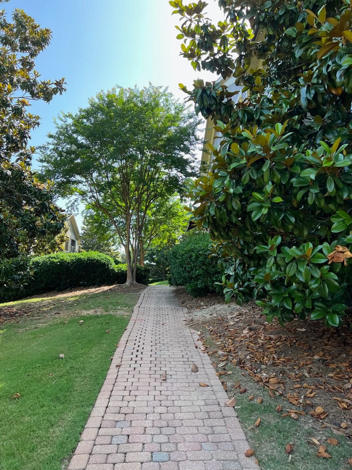 peaceful walking trails - 2100 Old Taylor Rd