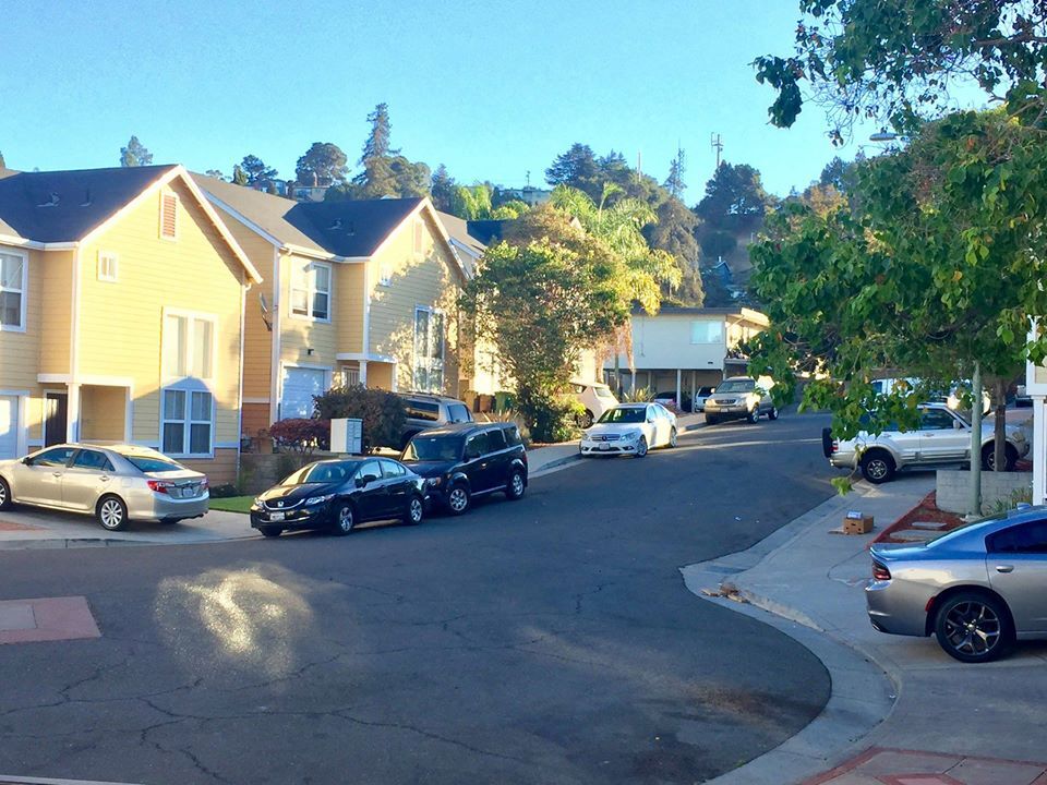 Driveway looking out - 2456 Palmvilla Ct