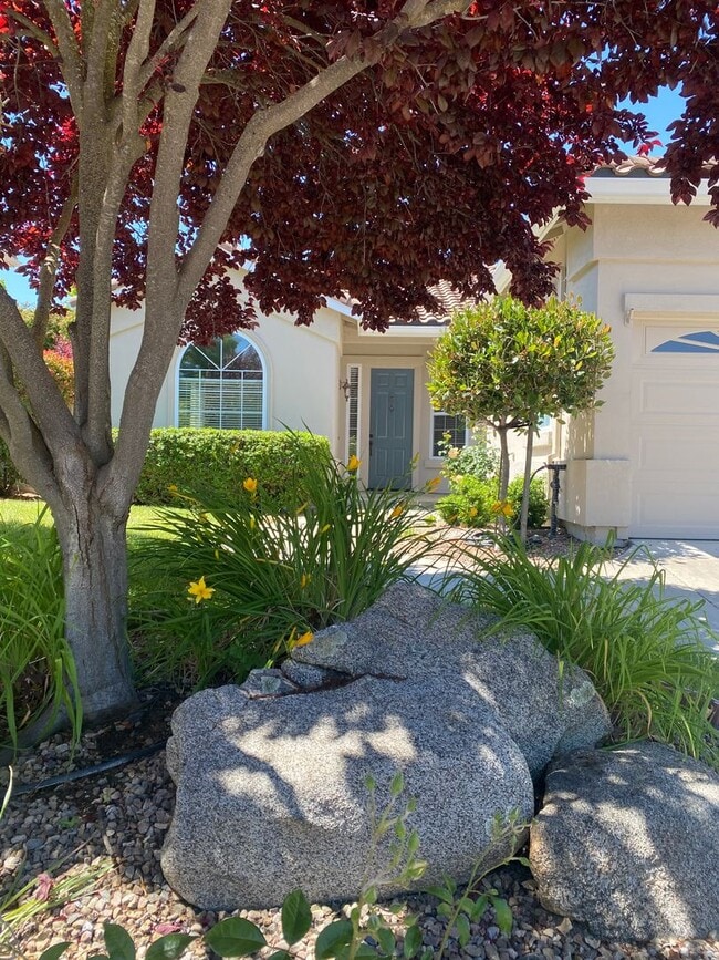 Building Photo - 4 bedroom in Paso Robles