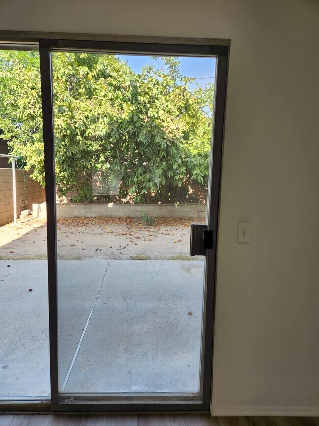 Yard - 1614 Loma Rd